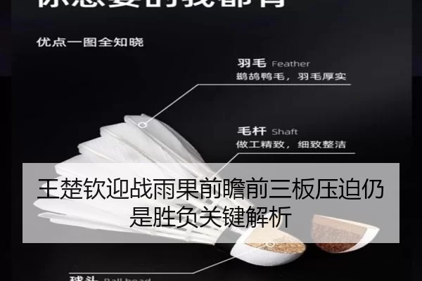 王楚钦迎战雨果前瞻前三板压迫仍是胜负关键解析